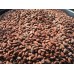 Какао бобы натуральные необжаренные Здорово Африка premium